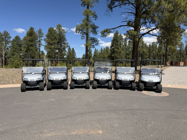 Part of the Cactus Cart Co. rental fleet lined up and ready for delivery